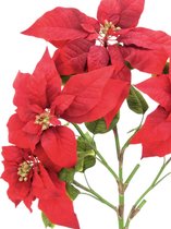 Europalms kunstplant - Poinsettia struik - red - 60cm