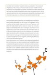 Product afbeelding  13