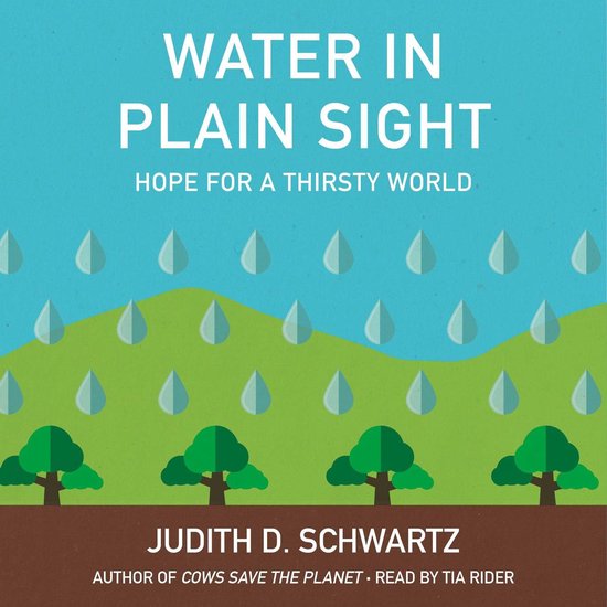 Water in Plain Sight - cover
