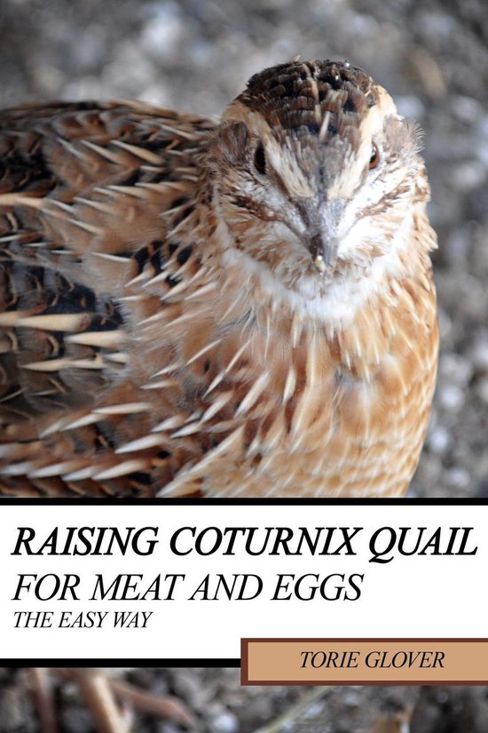 Raising Coturnix Quail for Meat and Eggs: the easy way - cover