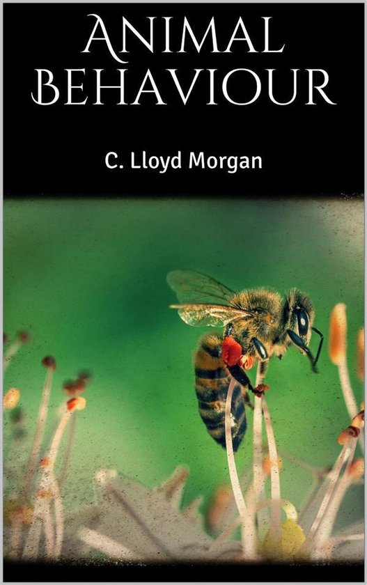 Animal Behaviour (ebook), C. Lloyd 9788892663473 Boeken bol