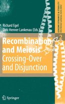 Recombination and Meiosis