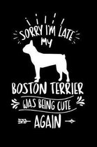 Sorry I'm Late My Boston Terrier was Being Cute Again
