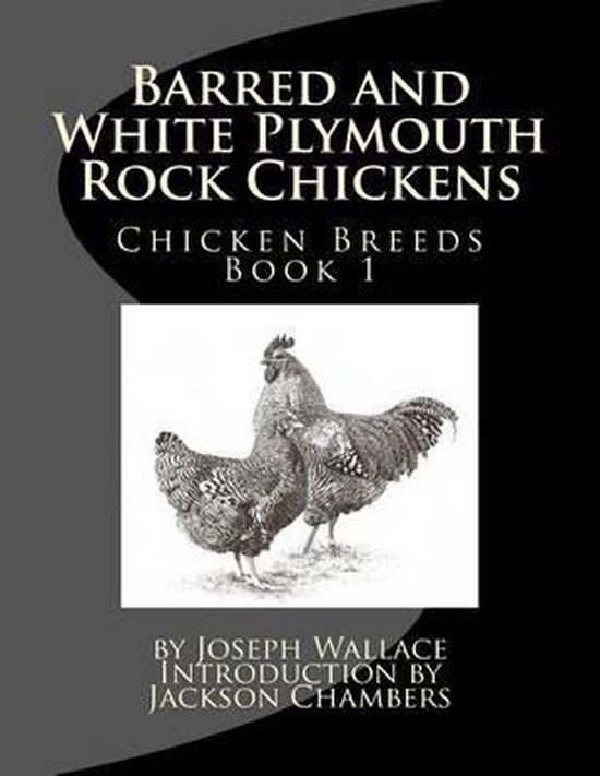 Chicken Breeds- Barred and White Plymouth Rock Chickens - cover