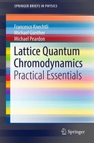 SpringerBriefs in Physics - Lattice Quantum Chromodynamics