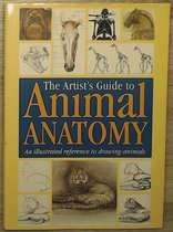 Animal anatomy
