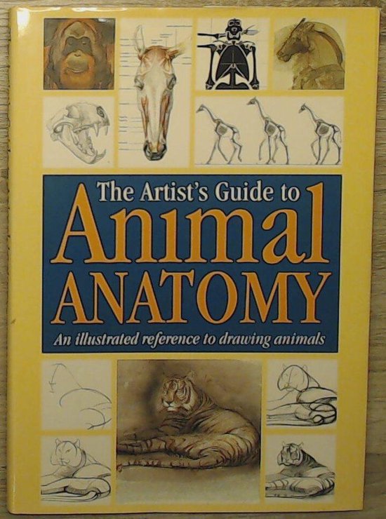 Animal anatomy, Gottfried Bammes 9781898250364 Boeken