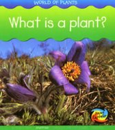 What is a Plant