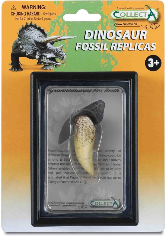 Collecta Prehistorie: Tand Van T-rex 11,5 Cm Lichtbruin | bol.com