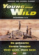 Young And Wild 1-3