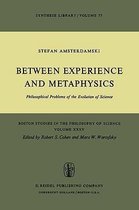Between Experience and Metaphysics