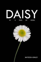 Daisy in a Field of Roses