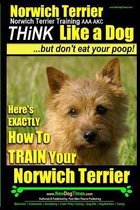 Norwich Terrier, Norwich Terrier Training AAA AKC - Think Like a Dog But Don't Eat Your Poop!
