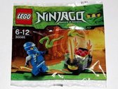 LEGO Ninjago Snake Battle - 30085