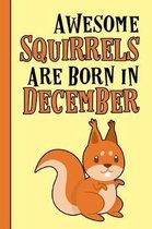 Awesome Squirrels Are Born in December