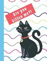 Are You Kitten Me?!