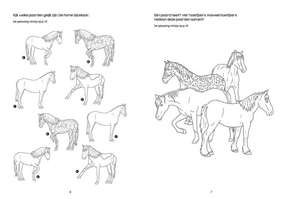Selecta Prachtige Paarden Doeboek - Selecta