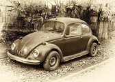 Papermoon Beetle Retro Car Vlies Fotobehang 500x280cm 10-banen