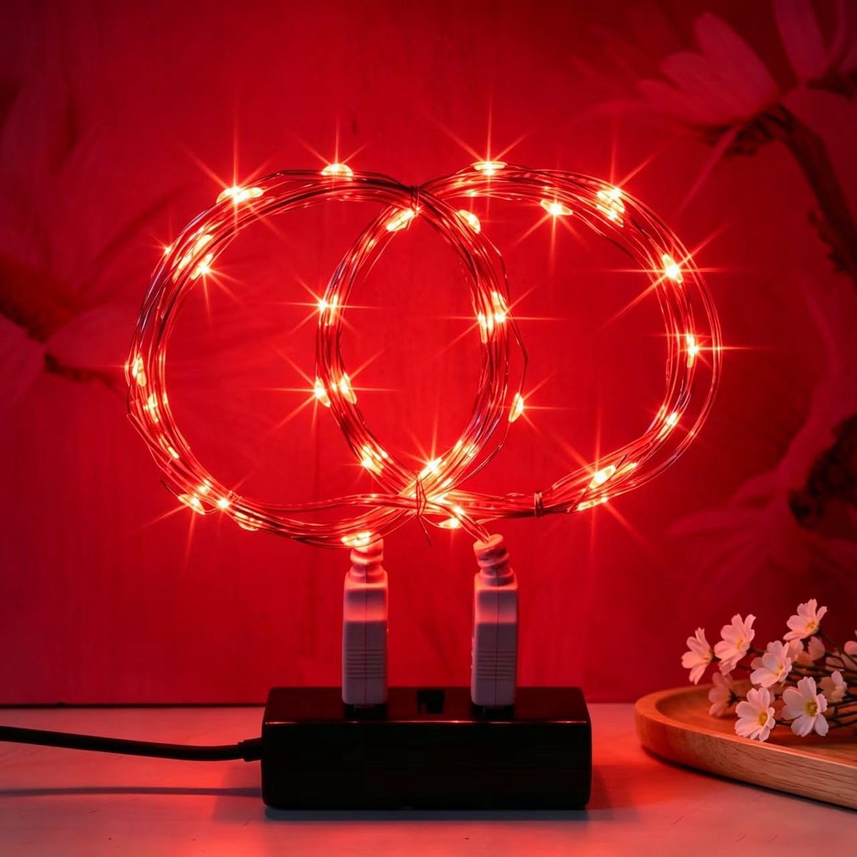2 stuks LED-lichtslinger, 2M / 6.6 Ft, USB-voeding, waterdicht, buiten/binnen, voor slaapkamer, tuin, bruiloft, Kerstmis, doe-het-zelf, enz. (Rood)