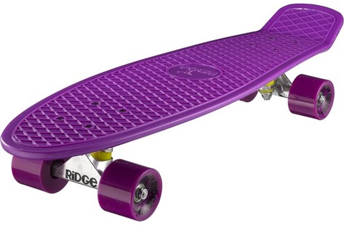 Cruiser Skateboard 69 cm voor Volwassenen en Jongeren Flexibel Deck