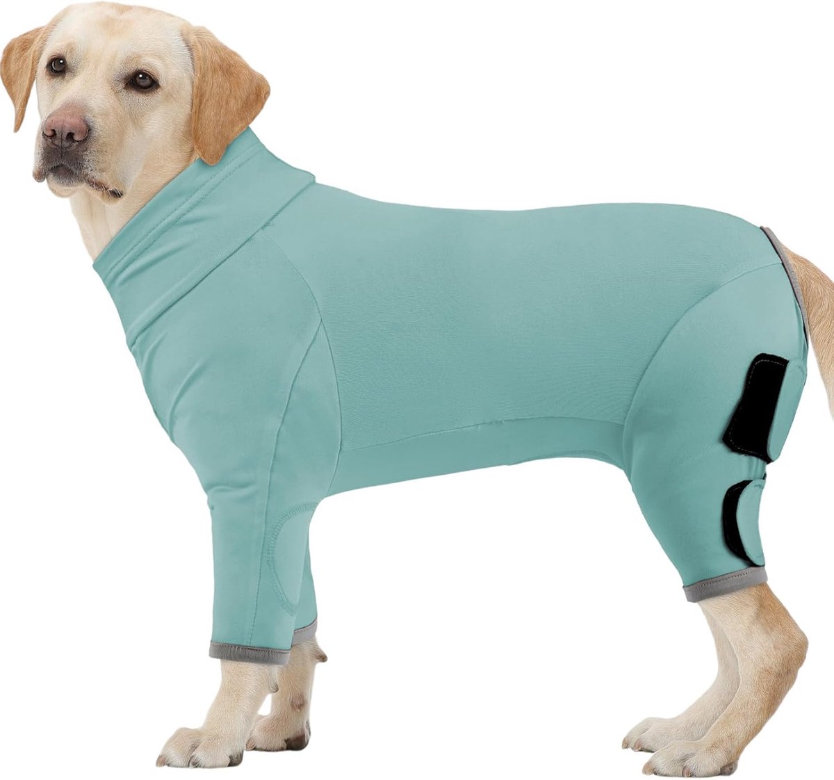 Lekbeschermingspak voor honden, elleboogvulling, huidbescherming na operaties, comfortabel als pyjama en herstelkleding, groen, 3XL