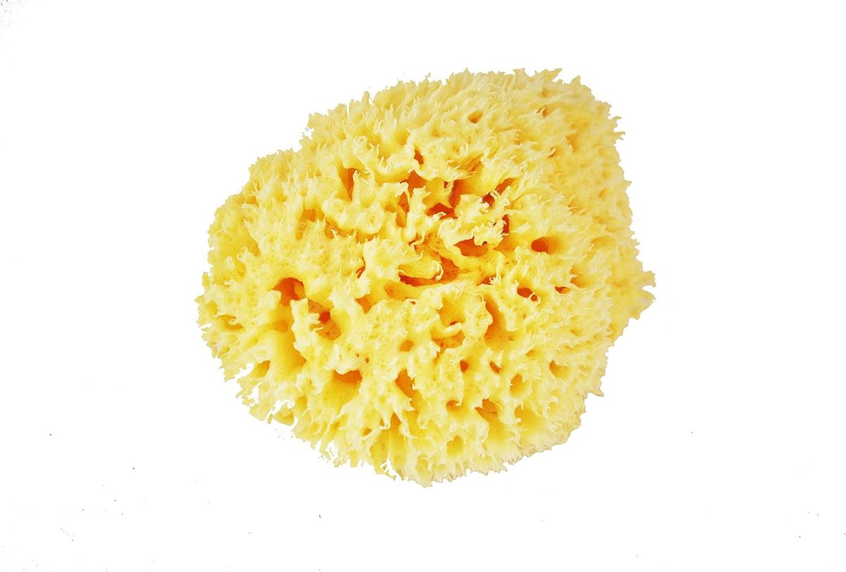 Zeespons, honingraat, geel, 7,5 cm, ideaal voor gezicht, make-up, babyhuid