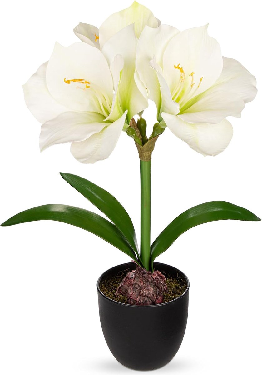 Kunstbloemen in zwarte pot 17,3 inch witte nepzijde amaryllis met bol faux amaryllis bloemstuk echte touch lentebloemen voor thuiskantoor badkamer keuken tafel plank decor