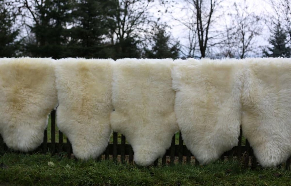 Schapenvacht Merino, natuurlijk, crème, ecologisch bewerkt, maat 110-120