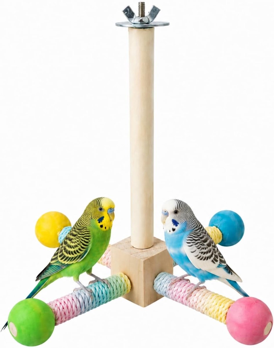Speelgoed, hout, vogelspeelgoed, parkiet, papegaai