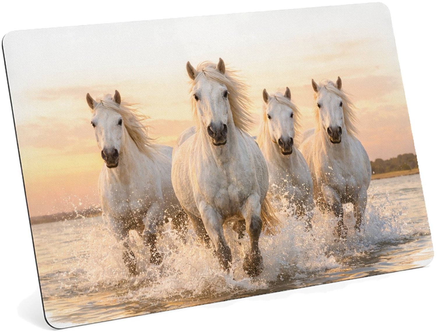Mr Cadeautjes MDF magnetische fotolijst 28 x 19 - design Een dynamische natuurscène met een enkele centrale hoofdfigu | cadeau Wit