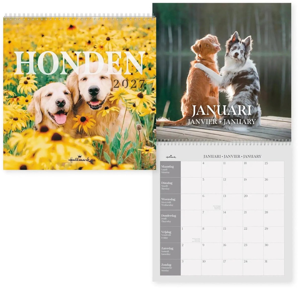 Dogs Kalender 2027