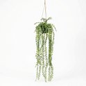 Kunst hangplant met parelkettingbladeren in een donkere pot, geïsoleerd op een witte achtergrond.