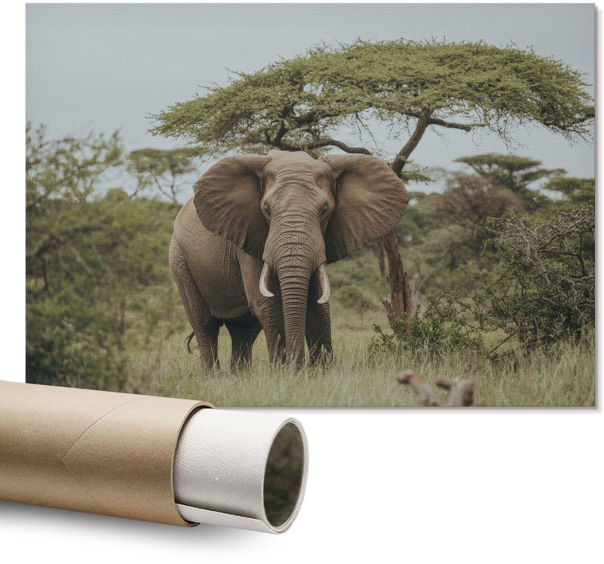 Coloray Polycanvas Wandposter – Olifant Op De Savanne, Groen – A1 – Grijs Patroon – Rechthoek – Wandkunst – Kantoor – Klassiek