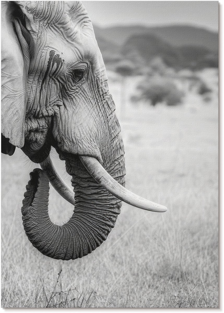 Tulup Polycanvas Wandposter - Afrikaanse Olifant, Fotografie - A4 - Zwart-wit Design - Rechthoek - Muurkunst - Woonkamer, Slaapkamer, Kantoor - Klassiek