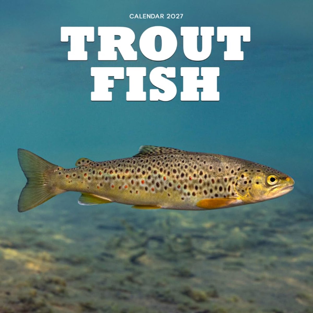 Trout Fish Calendar 2027: Freshwater Fish and River Scenes - ShopVlot