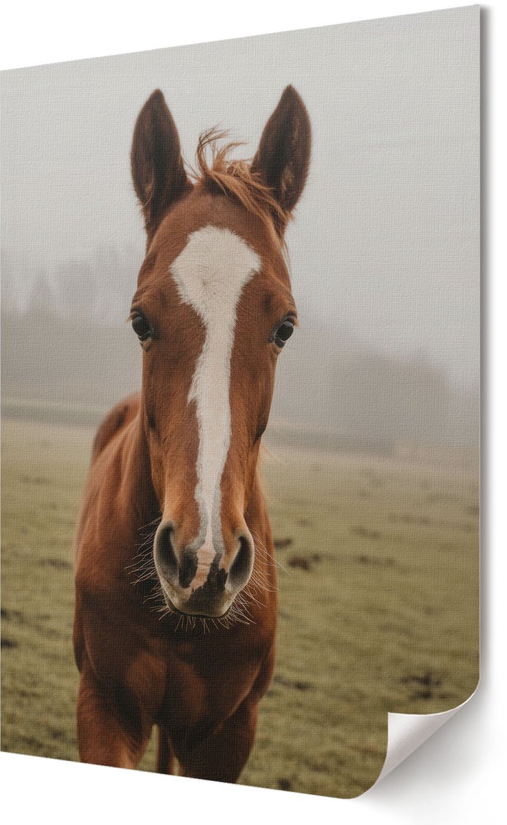Coloray Polycanvas Wandposter - Rendier Natuur, Zwart-wit - A2 - Zwart-wit Design - Rechthoek - Wandkunstwerk - Woonkamer - Modern