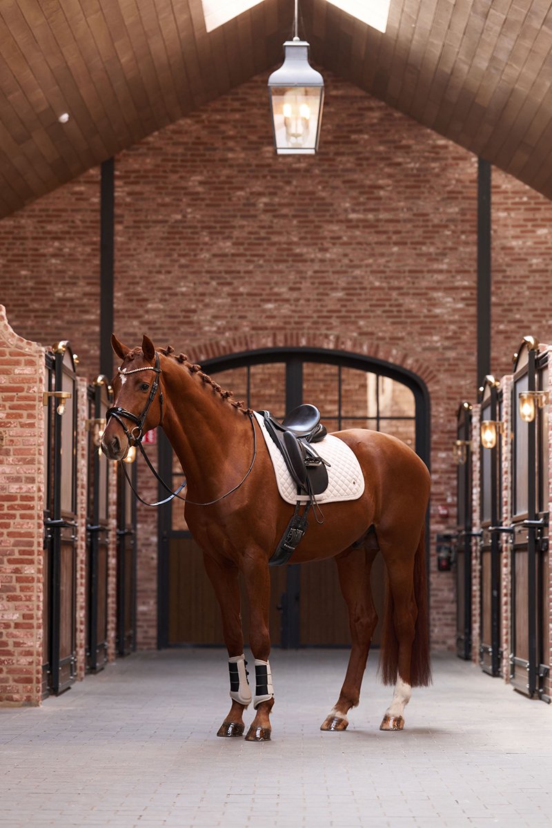 Imperial Riding Zadeldek Imperial Riding Irhpenny Herringbone Dressuur Lichtbruin