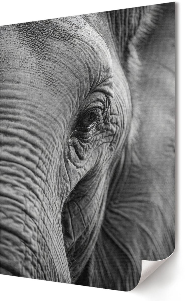 Coloray Polycanvas Poster - Magische Bloem, Illustratie - A2 - Turkoois Design - Rechthoek - Wandkunst - Woonkamer, Slaapkamer, Kantoor - Expressief