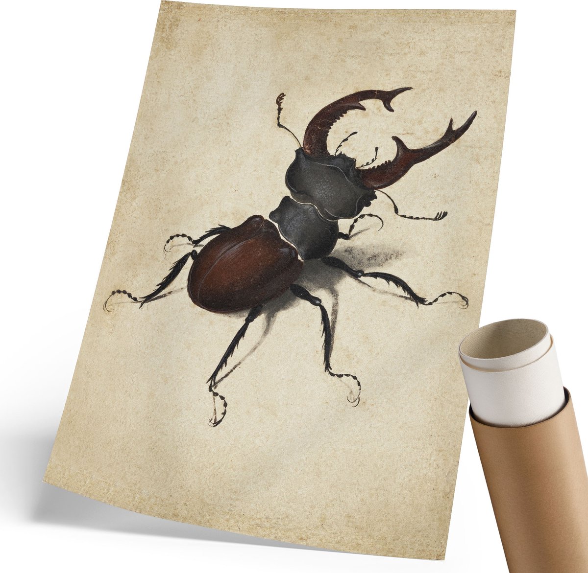 Coloray Polycanvas Poster - Vliegende Kever, Illustratie - 210 x 297 mm - Zwart Kunst - Rechthoek - Kunstposter - Woonkamer, Slaapkamer, Kantoor - Klassiek