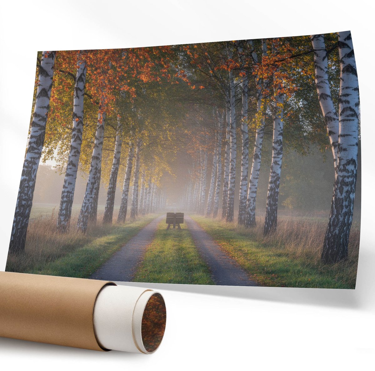 Coloray Polycanvas Wandposter - Bosvuur, Fotografie - 594 x 840 mm - Grijs Illustratie - Rechthoek - Canvasposter - Woonkamer - Rustiek