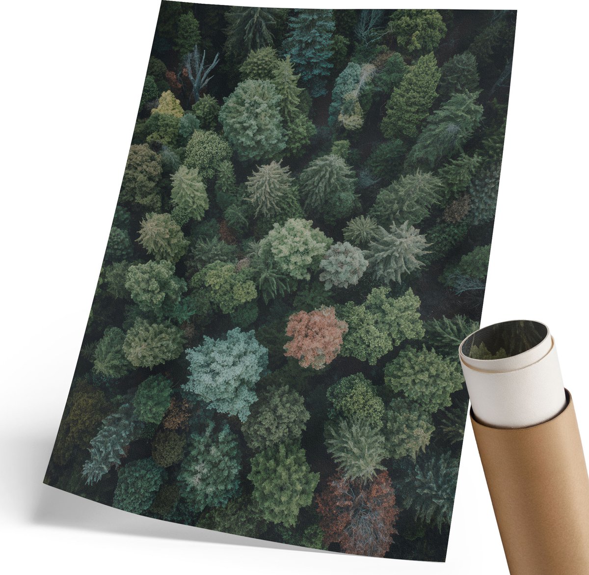 Coloray Polycanvas Poster - Bos Gezien Van Boven, Fotografie - 210 x 297 mm - Groen Wanddecoratie - Rechthoek - Decoratieve poster - Woonkamer, Slaapkamer, Kantoor - Modern