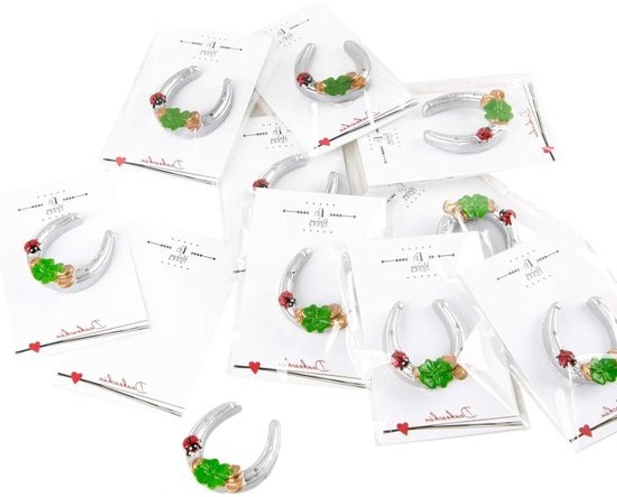 Hoefijzer Geluksbrenger - Gelukssymbool Cadeau - Feestelijke Attentie - Met Kaartje - 8.5 x 5.5 x 1 cm - Zilverkleurig