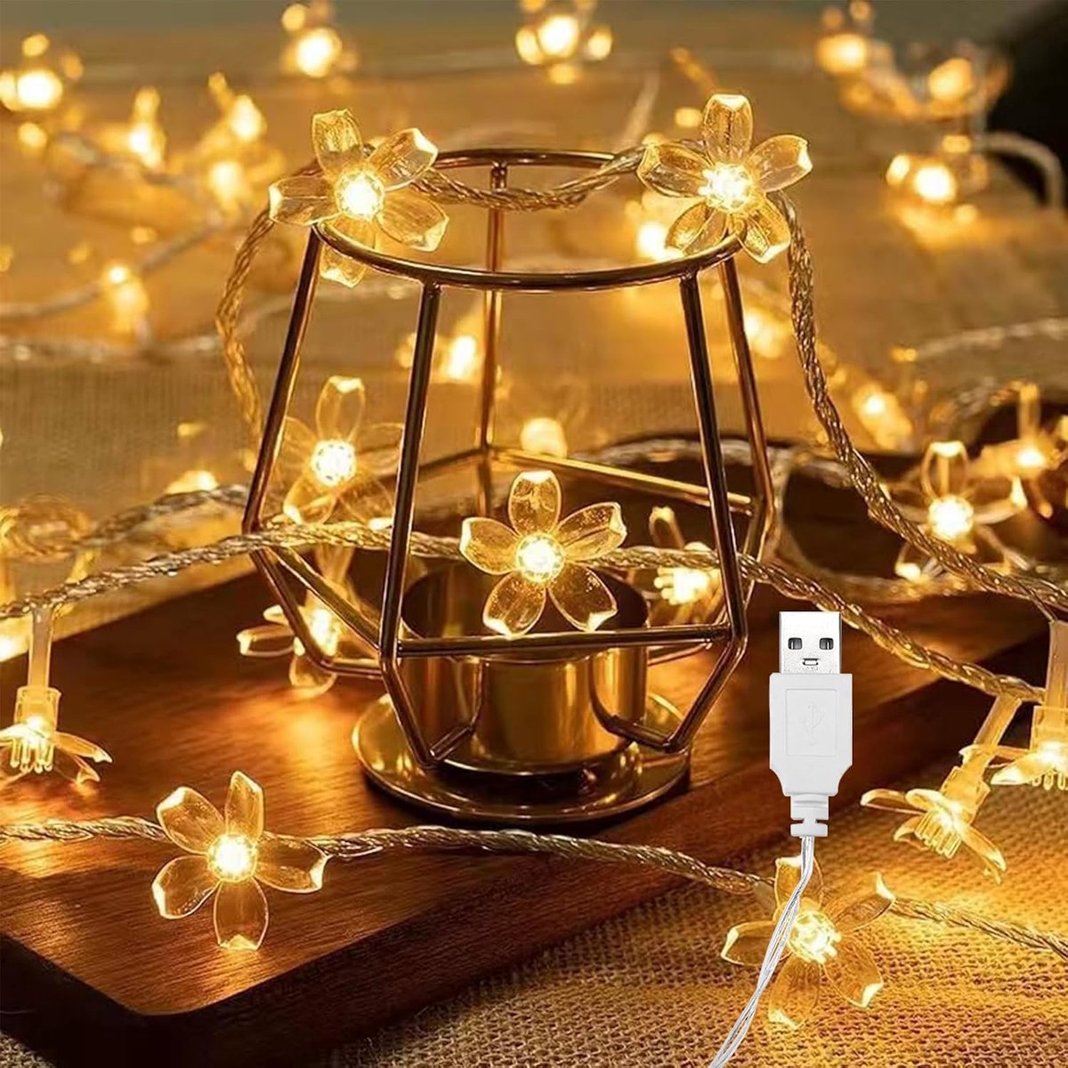 Lichtsnoer 3m - 20 LED - USB - Warmwit - Kerst - Binnen en Buiten