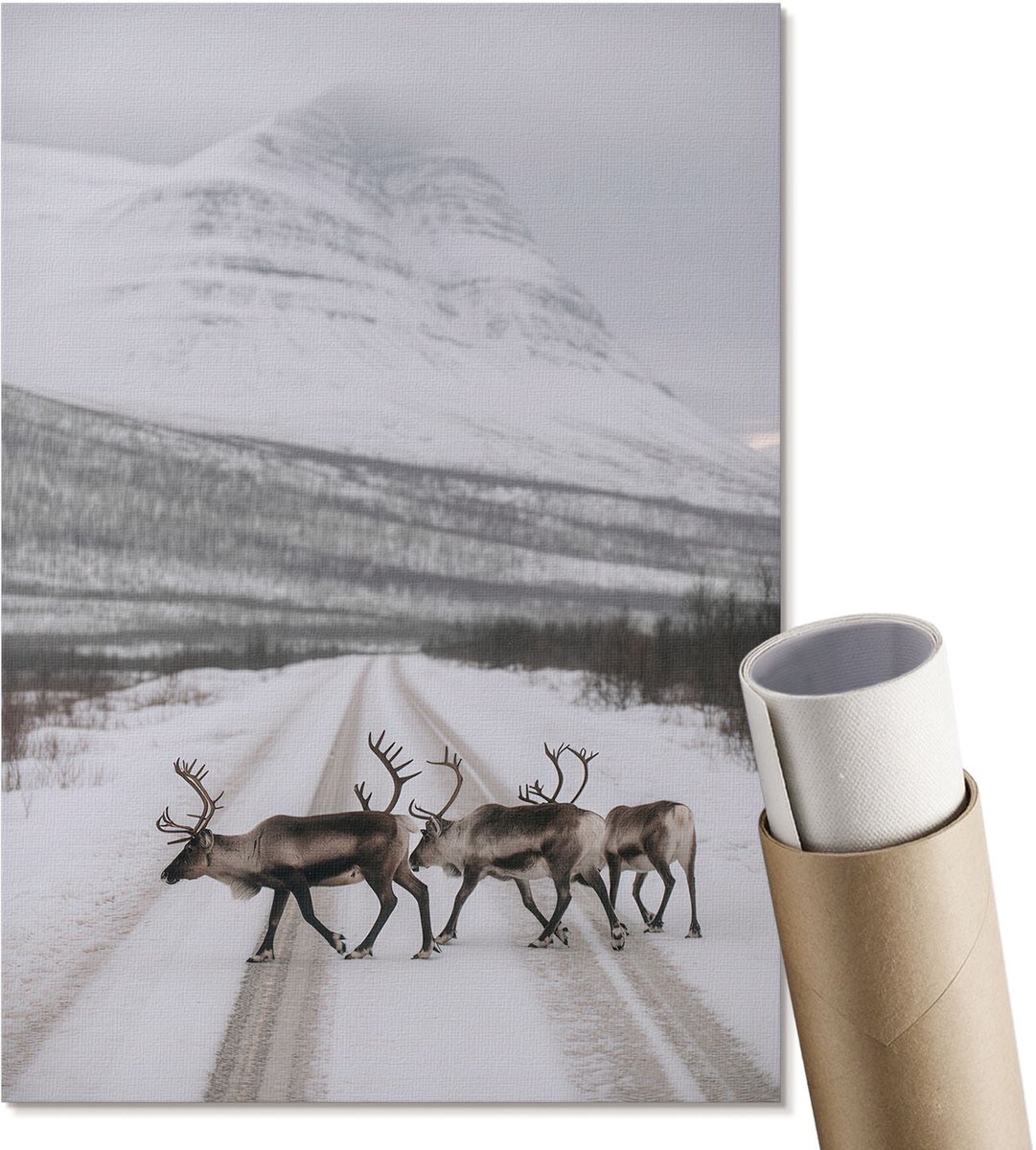 Coloray Polycanvas Wandposter - Winterlandschap, Fotografie - A4 - Wit Wanddecoratie - Rechthoek - Canvasposter - Woonkamer, Slaapkamer, Kantoor - Klassiek