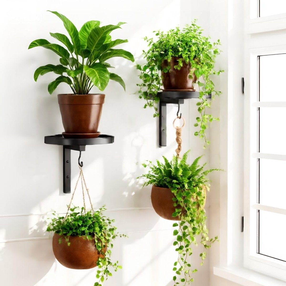 2 stuks wandhangende plantenstandaard, plantenhouder muur metaal met haken, wandhangende bloempotstandaard voor buiten, plantenstandaard voor balkon, badkamer (zwart)