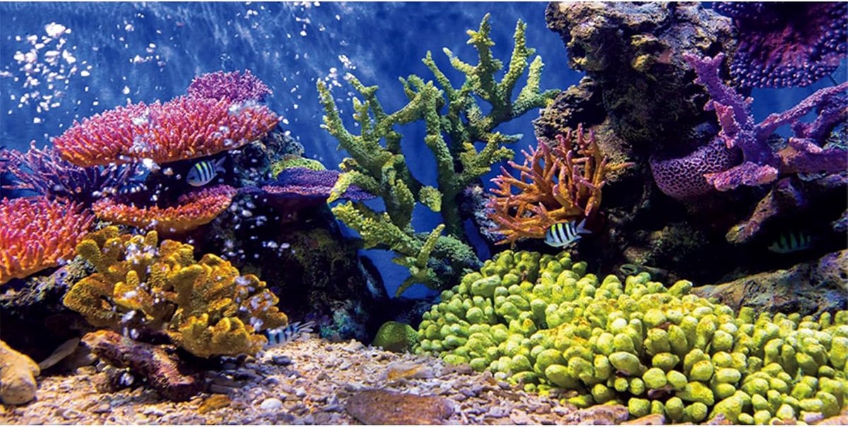 120x61cm Duurzaam Vinyl Aquarium Decor Achtergrond Koraal Tropische Vissen Onderwater Fish Tank Poster Achtergrond