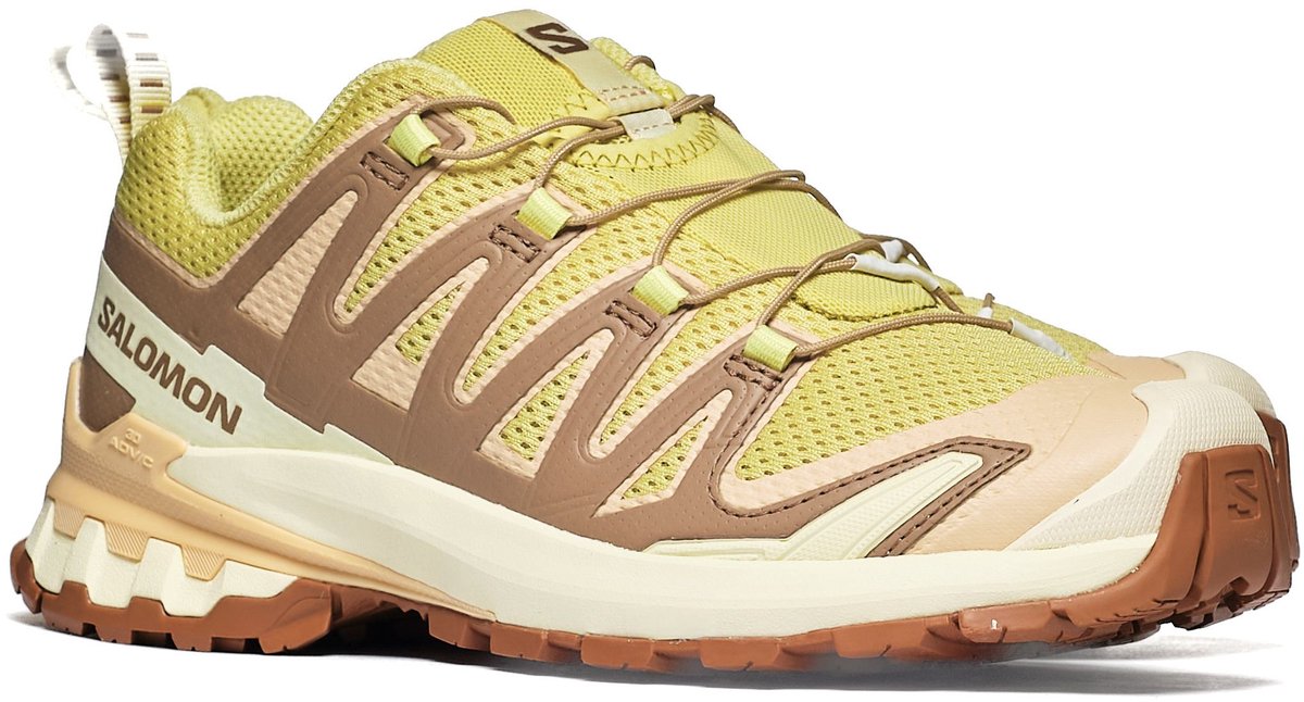 Trekking schoenen Salomon XA PRO 3D V9 W Dames Multicolor