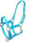 Felblauw halster met gouden gespen en clipsluiting.