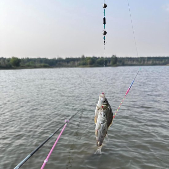 Vislood Set 143 Delen - 6 Maten Visloodjes voor Stabilisatie — afbeelding 2