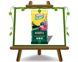 Vigor Plant Grond voor Zuurminnende Planten 45L